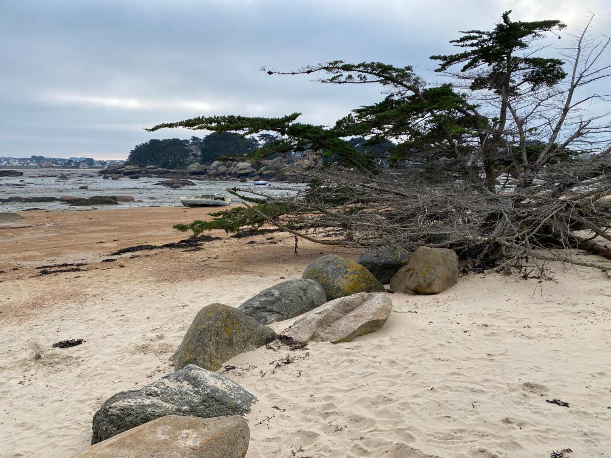 Résidence du Pélican Lannion Exterior foto